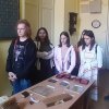 Бібліотечно-документознавча практика